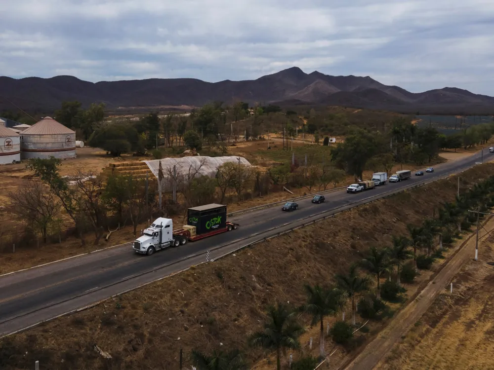Mexican authorities discover 20 bodies amid escalating cartel violence in Sinaloa