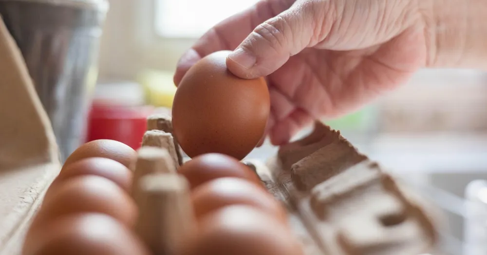 Midwest Poultry Services Recalls 1.6 Million Eggs Over Salmonella Risk