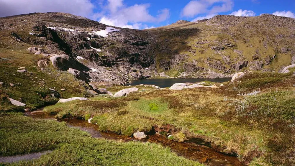 Missing hiker Hadi Nazari found alive after 13-day ordeal in Snowy Mountains