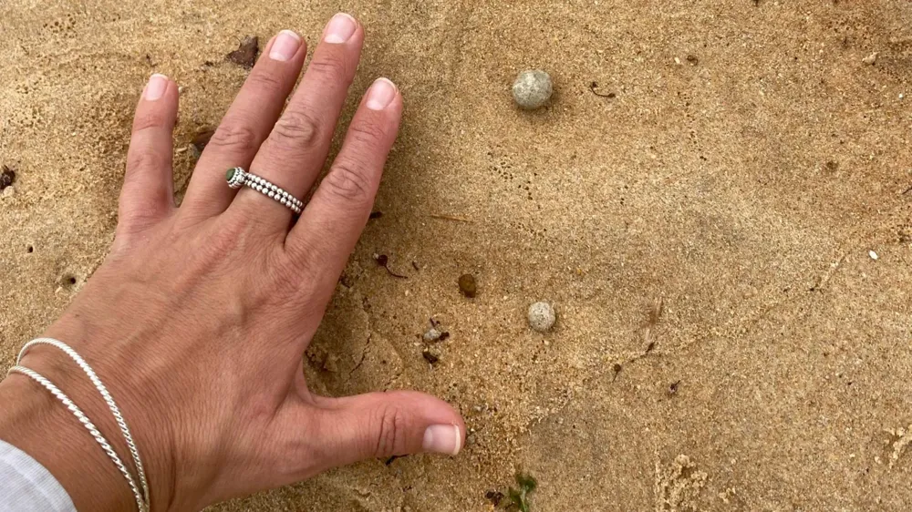 Nine Sydney Beaches Closed Again Due to Mystery Debris Wash-Up