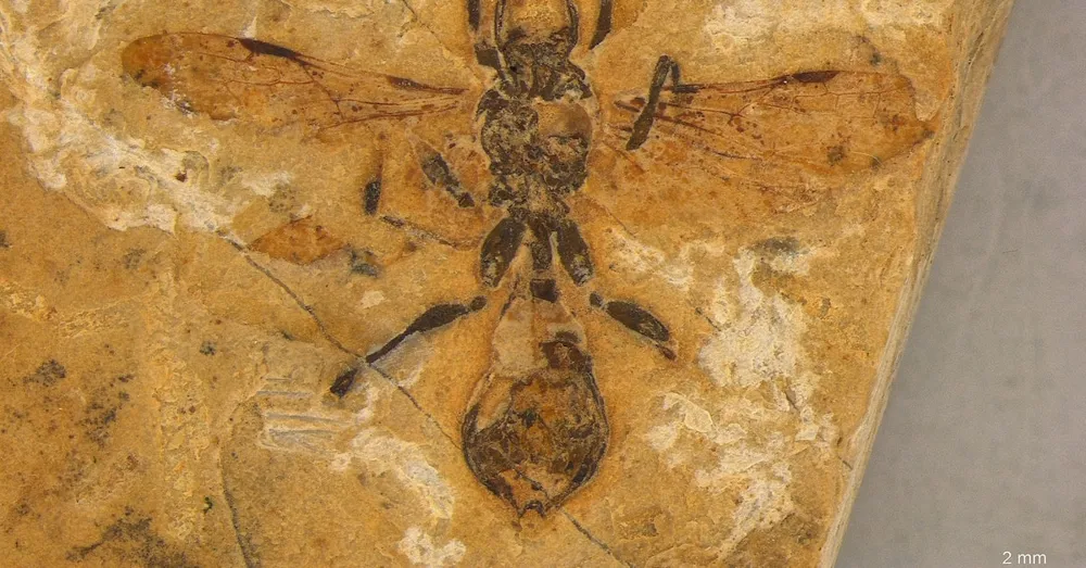 Oldest ant fossil unveils insights into ancient biodiversity