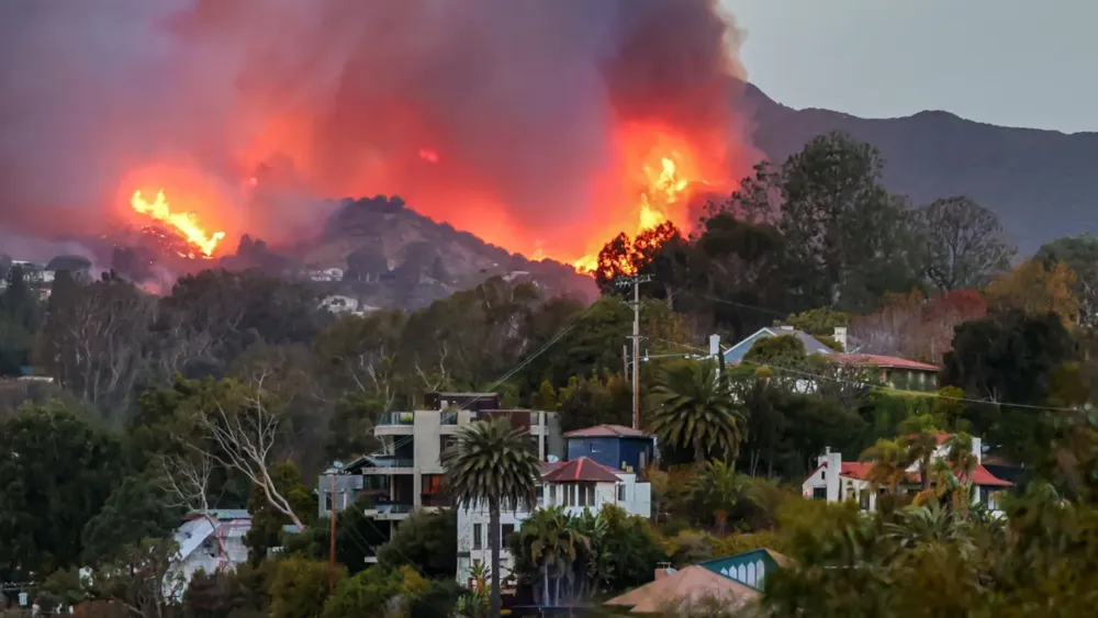 Pacific Palisades Wildfire Forces Celebrity Evacuations in Los Angeles