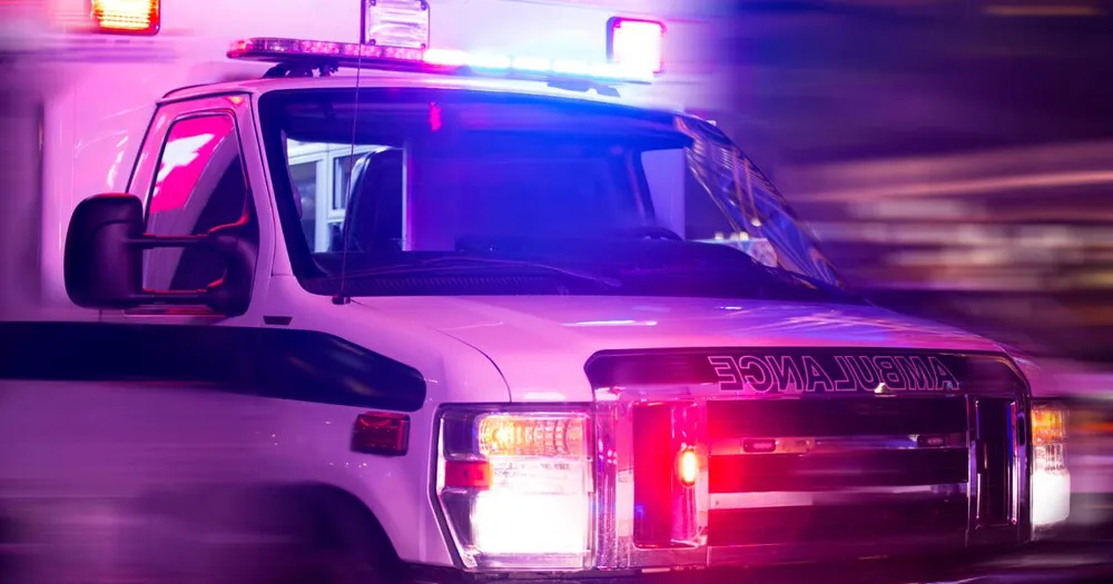 Playful Pit Bull Accidentally Shoots Owner in Memphis Incident