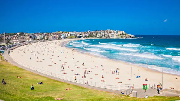 Multiple Fatalities Reported in Bondi Beach Shooting Incident