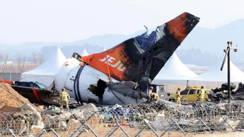 South Korea's Jeju Air Crash: Preliminary Report Confirms Bird Strikes and Investigates Contributing Factors