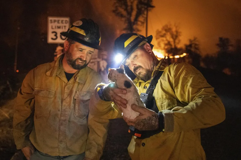 Private Firefighting Forces Tackle Wildfires in Los Angeles