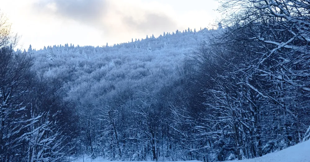 Rare Winter Storm Causes Record Snowfall Across Southern U.S.