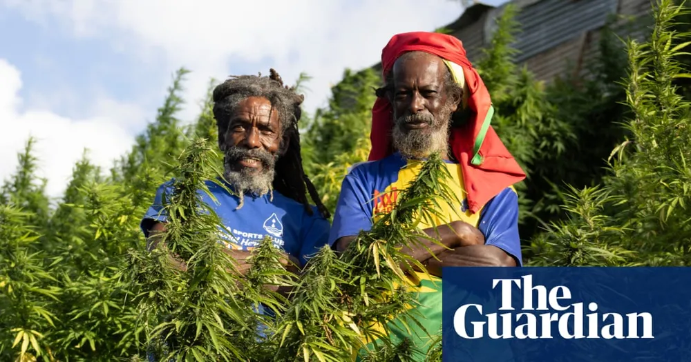 Rastafarians in St. Vincent Launch Cannabis Farms Aimed at Growing Medical Industry