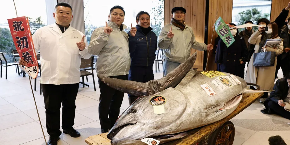 Record $1.3 Million Paid for Giant 608-Pound Bluefin Tuna at Tokyo Auction