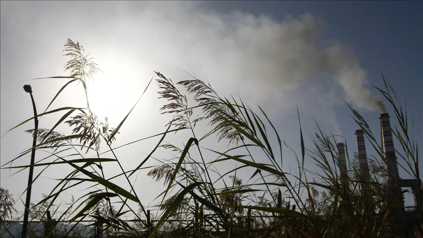 Record Surge in Atmospheric CO2 Levels Signals Climate Crisis