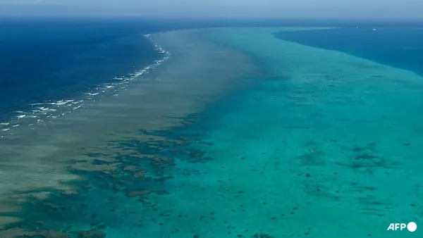 Rescue operations for distressed cargo ship near Scarborough Shoal result in two fatalities