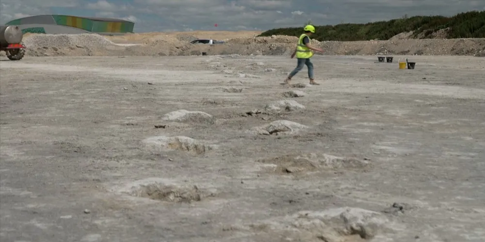 Researchers Reveal Jurassic-Era 'Dinosaur Highway' with Over 200 Footprints in England