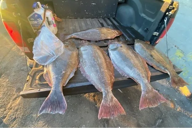 San Francisco Fisherman Caught Hiding Illegal Fish Behind Fake Wall