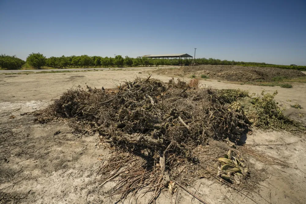 San Joaquin Valley Implements Near-Total Agricultural Burning Ban for Improved Air Quality