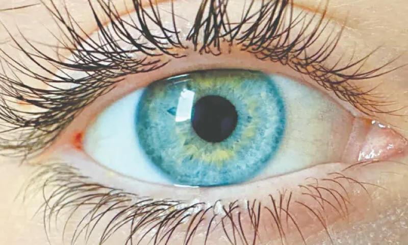 Scientists Discover Color Outside Human Perception, Named 'Olo'