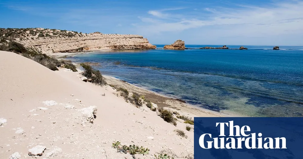 Search Efforts Underway for Missing Surfer in Suspected Shark Attack Off South Australia