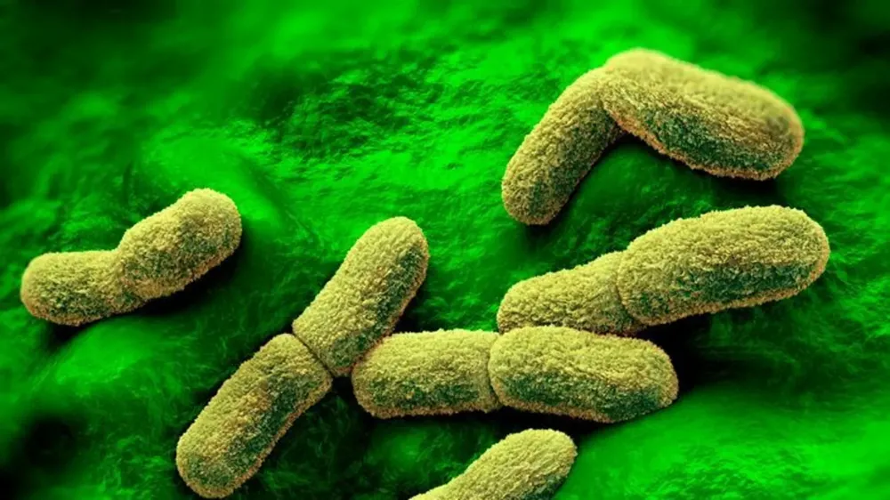 Siberian Lab Worker Dies; Nearly 200 Quarantined Amid Pneumonic Plague Fears