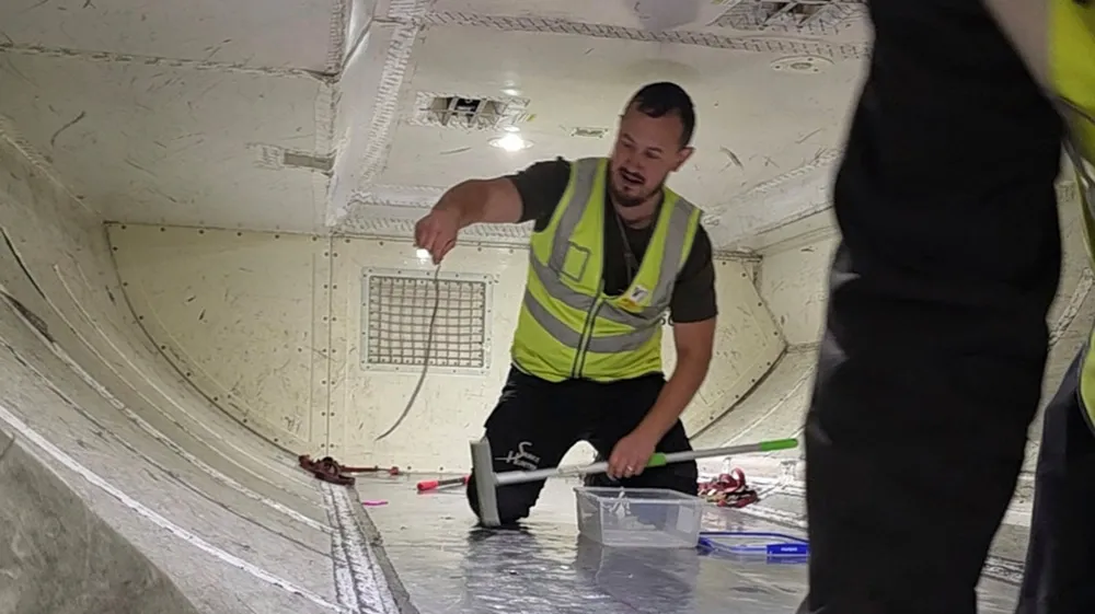 Snake Found in Cargo Hold Delays Virgin Australia Flight by Two Hours