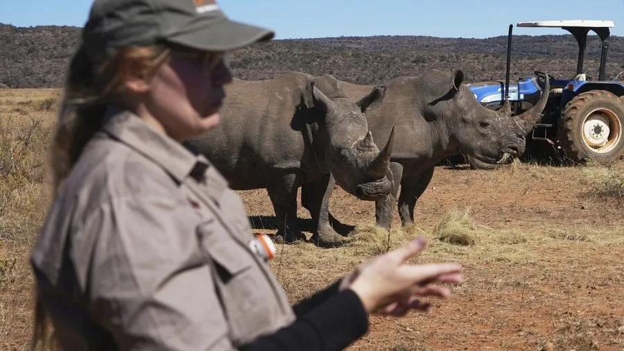 South Africa Launches Radioactive Rhino Horn Project to Combat Poaching