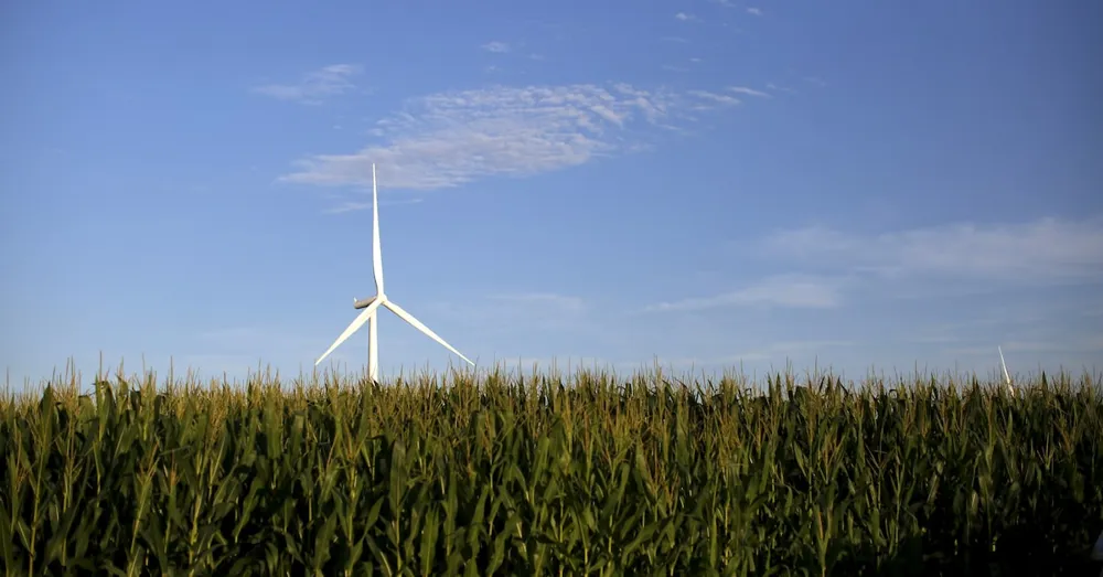 States Challenge Trump's Suspension of Wind Energy Development