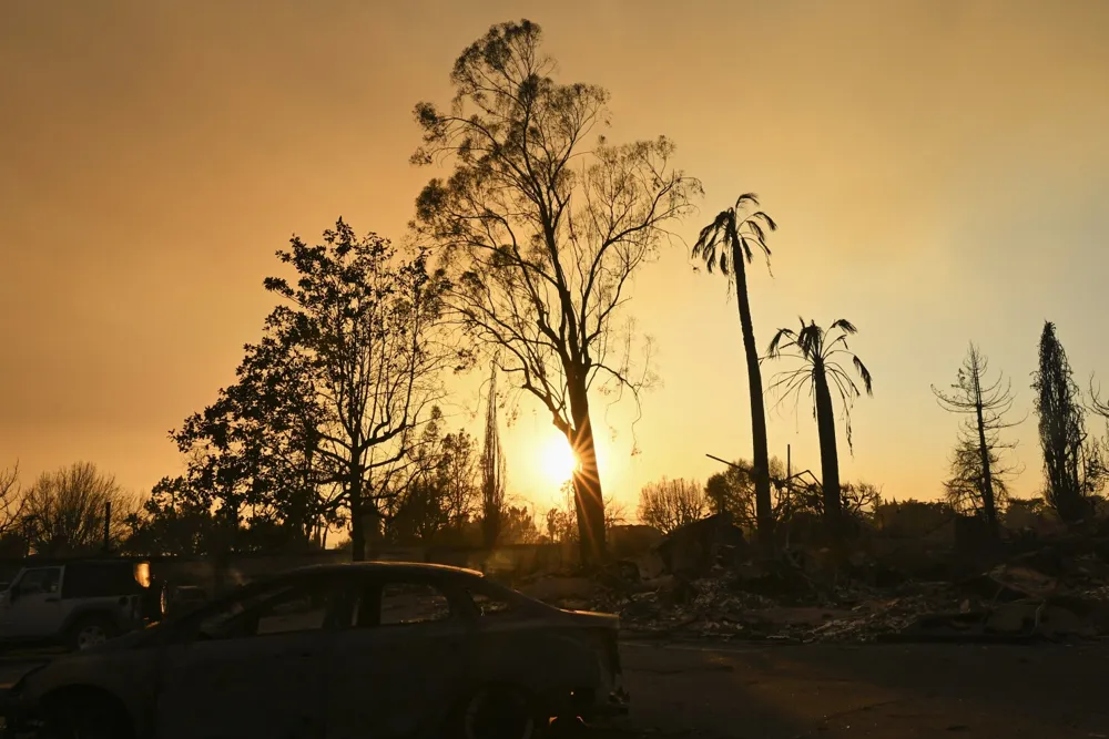 Steve Guttenberg Returns to Charred LA Neighborhood After Wildfire Devastation