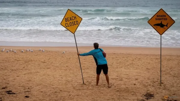 Sydney beaches closed after multiple shark attacks in two days