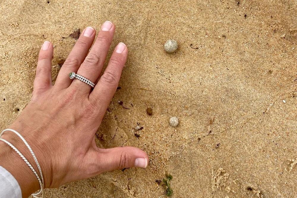 Sydney Beaches Face Temporary Closures Due to Mysterious 'Grease Balls' Debris