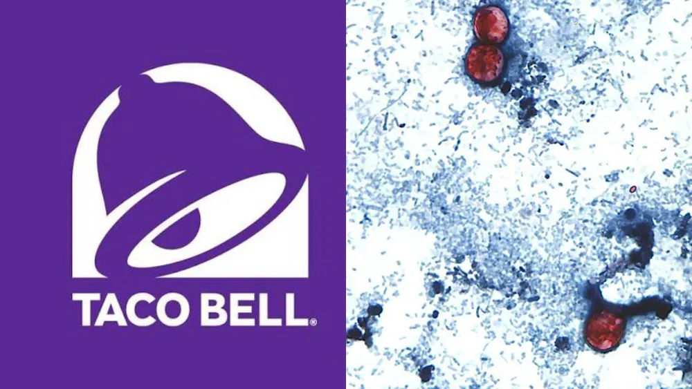 Taco Bell withdraws lettuce linked to nationwide cyclosporiasis outbreak