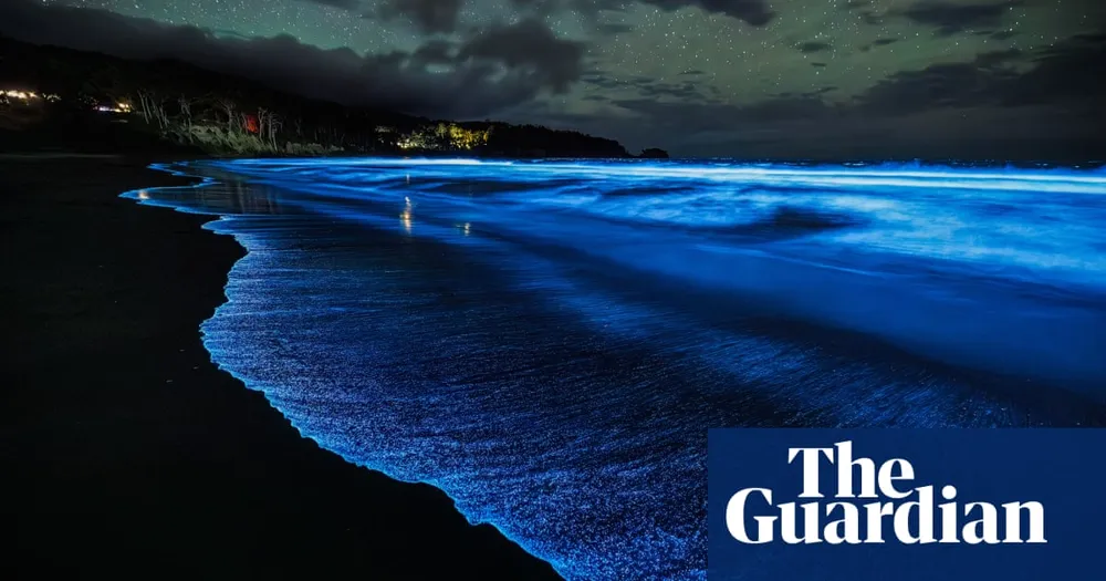 Tasmania's Coastline Lights Up With Record Bioluminescent Algae Bloom