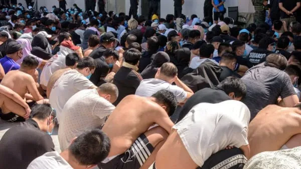 Thailand Considers Border Wall to Combat Scam Operations Amid Regional Crackdown