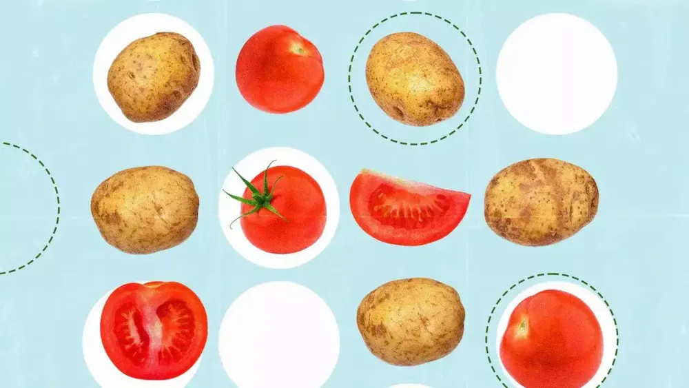The Potato's Ancient Origin Linked to a Tomato Ancestor