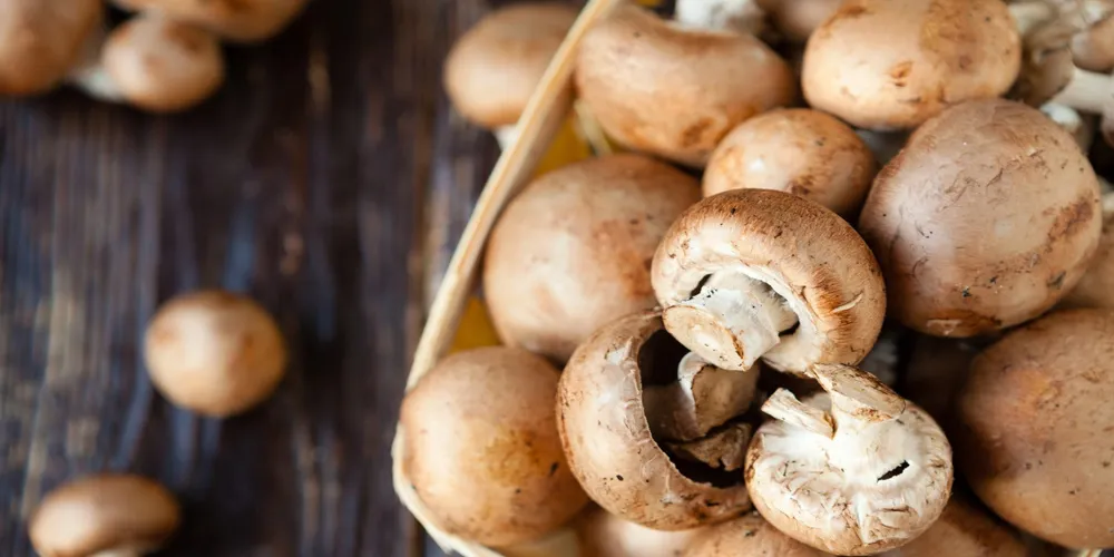 The Right Way to Freeze Mushrooms for Future Use