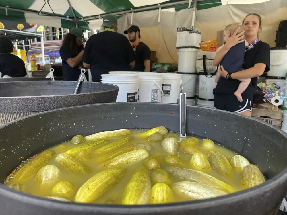 The Rise of Pickles: A Culinary Obsession Takes Over 2024