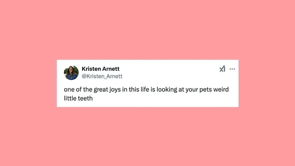 Top 22 Hilarious Pet Tweets from December 29 to January 3