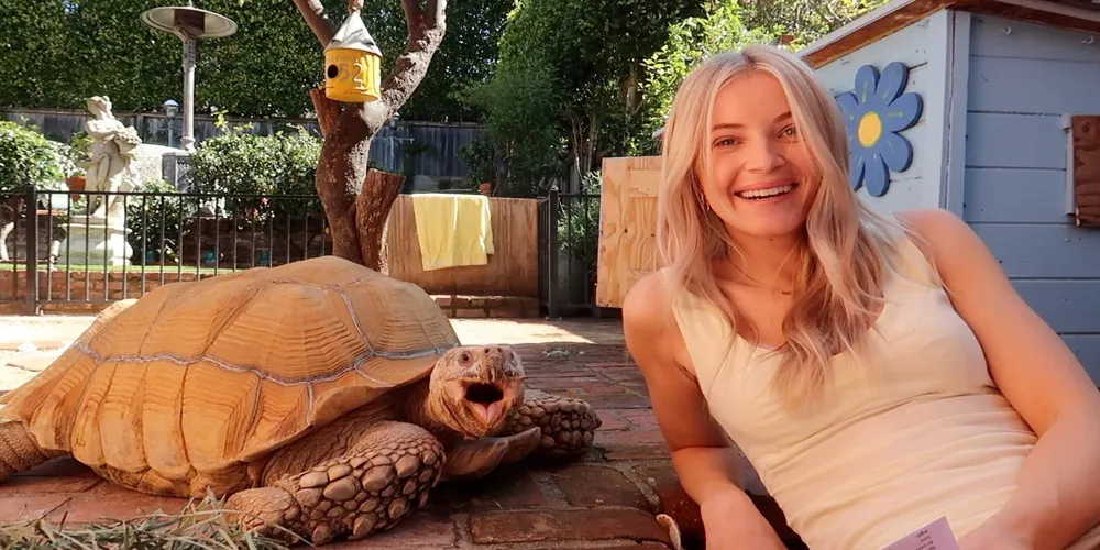 Tortoise Tiptoe’s Escape from Palisades Fire Captured by Social Media Star