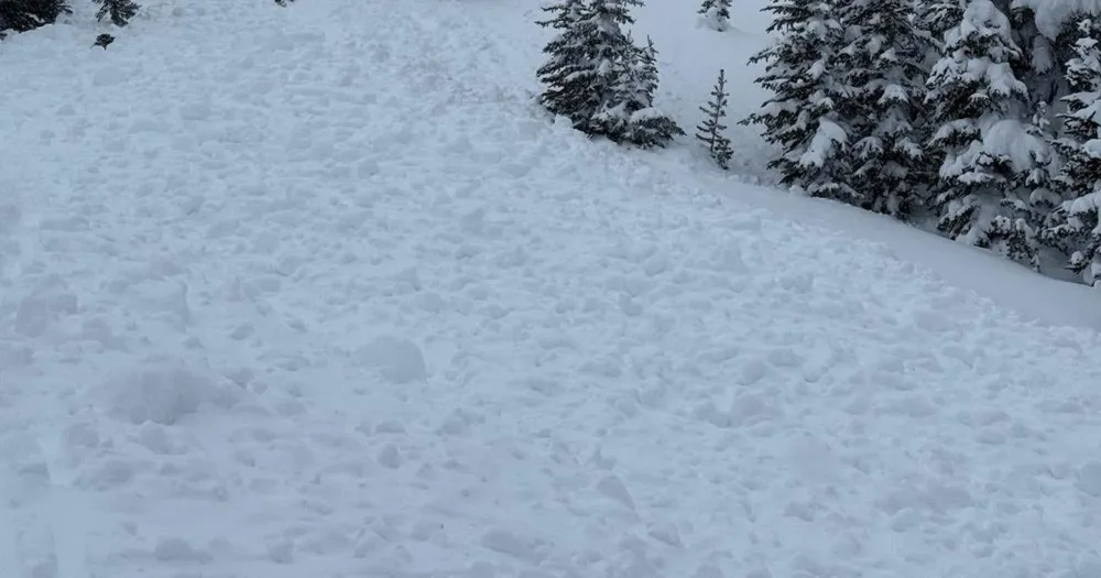 Avalanche Claims Life of Skier and Injures Another in Wyoming