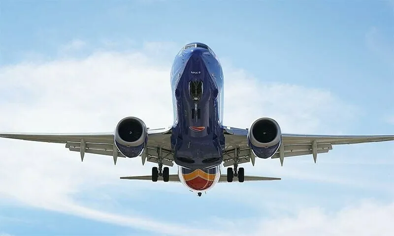 Man Dies After Being Sucked Into Plane Engine at Milan Airport