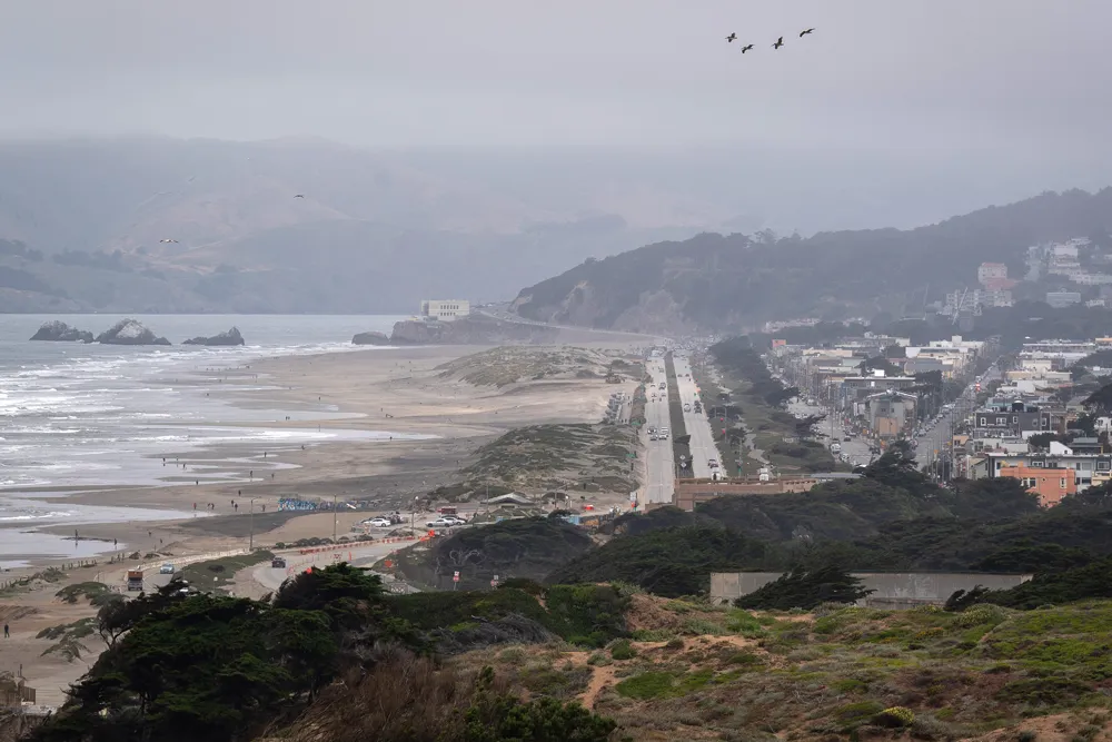 Tragic incident at Ocean Beach as man dies while rescuing dog