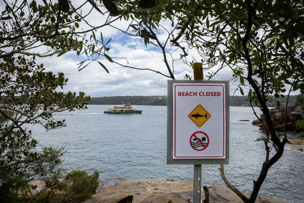 12-Year-Old Boy Dies Following Shark Attack in Sydney Harbour