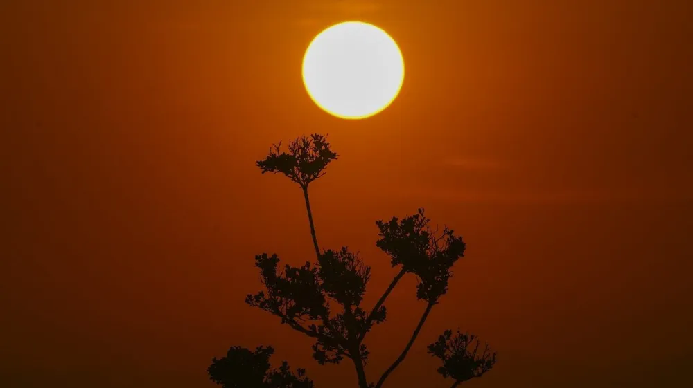 Trump Administration Dismisses Authors of Key Climate Assessment