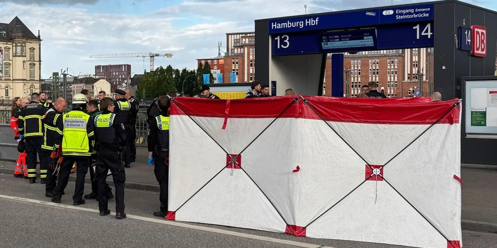 Stabbing Attack at Hamburg Train Station Leaves 18 Injured; Suspect Arrested