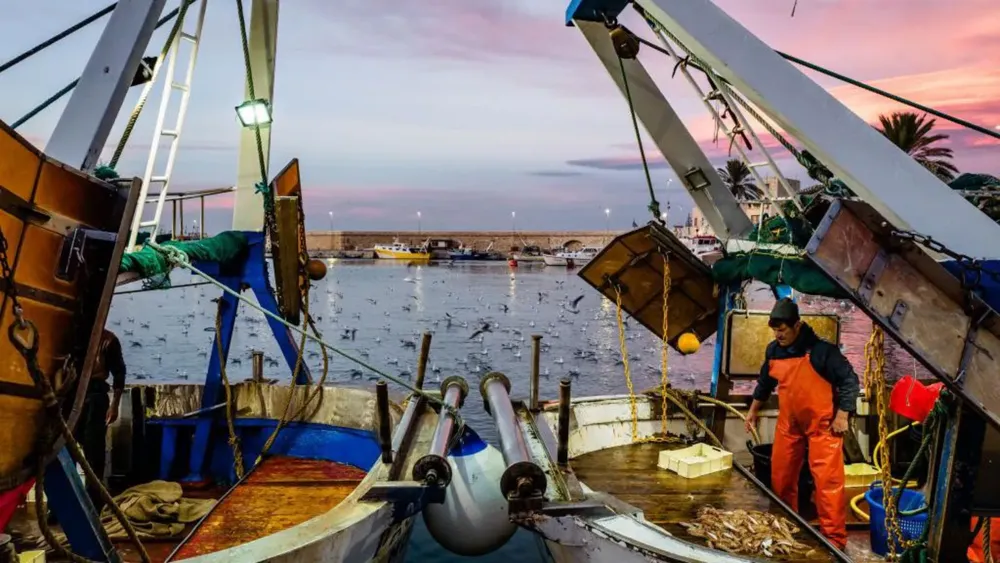 UK Plans to Expand Ban on Destructive Seabed Trawling