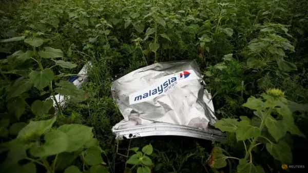 UN Aviation Agency Rules Russia Responsible for Downing of Malaysian Airlines Flight MH17