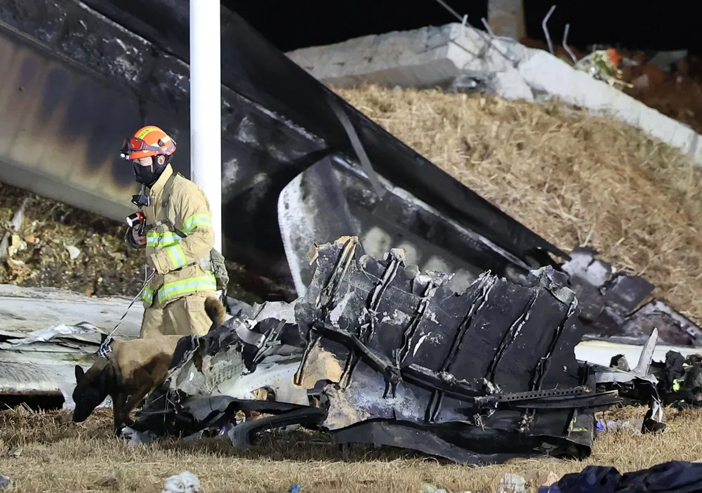 Investigation into Deadly Jeju Air Flight Crash Raises Doubts Over Bird Strike Claims