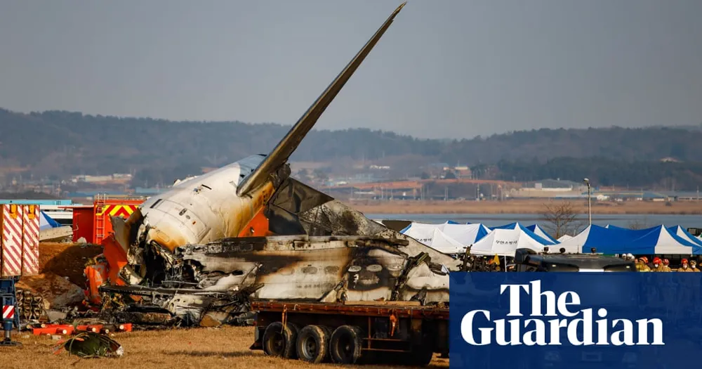 Unclear Causes Behind South Korea Plane Crash, Bird Strikes Considered Likely Factor