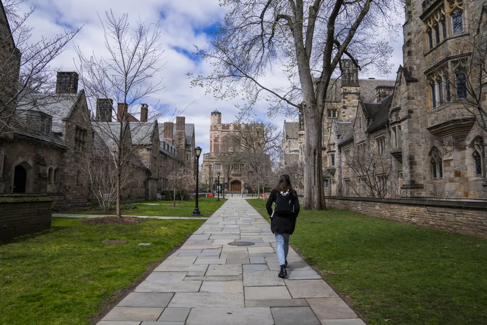 Understanding Misconceptions About Ivy League Institutions