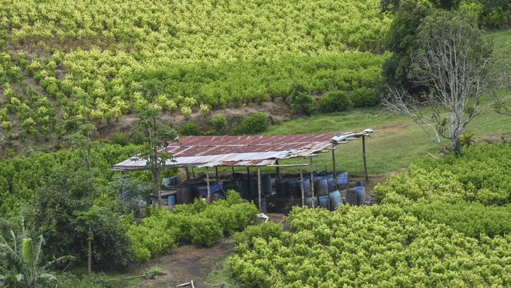 US Decertifies Colombia as Drug Control Partner Amid Growing Tensions