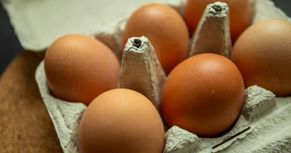 U.S. Implements $1B Plan to Address Rising Egg Prices and Boost Imports