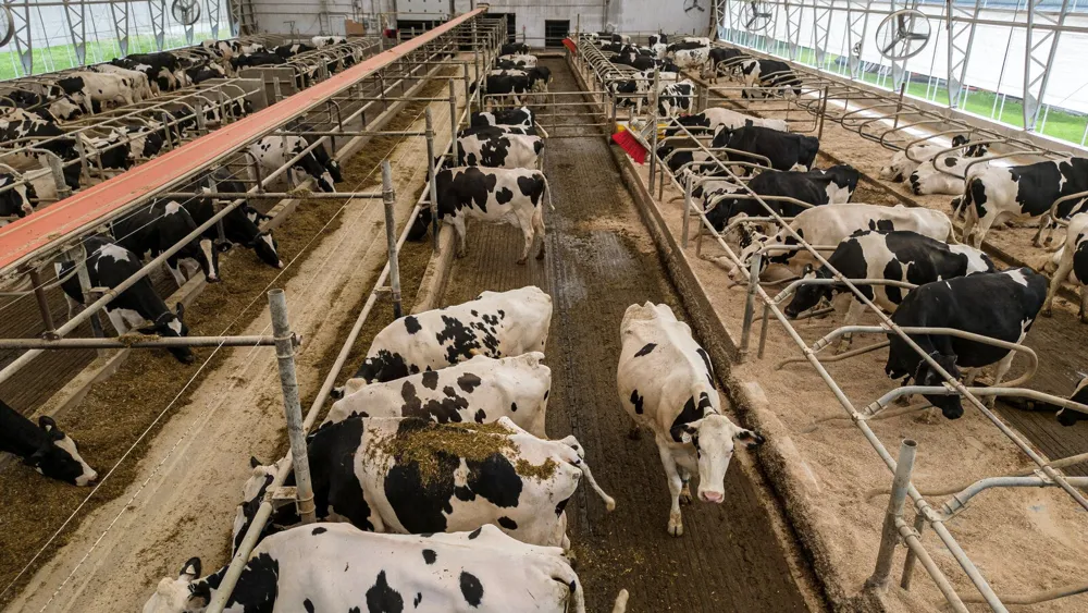 U.S. Imposes Import Ban on $1 Billion in Canadian Goods, Escalates Trade Tensions