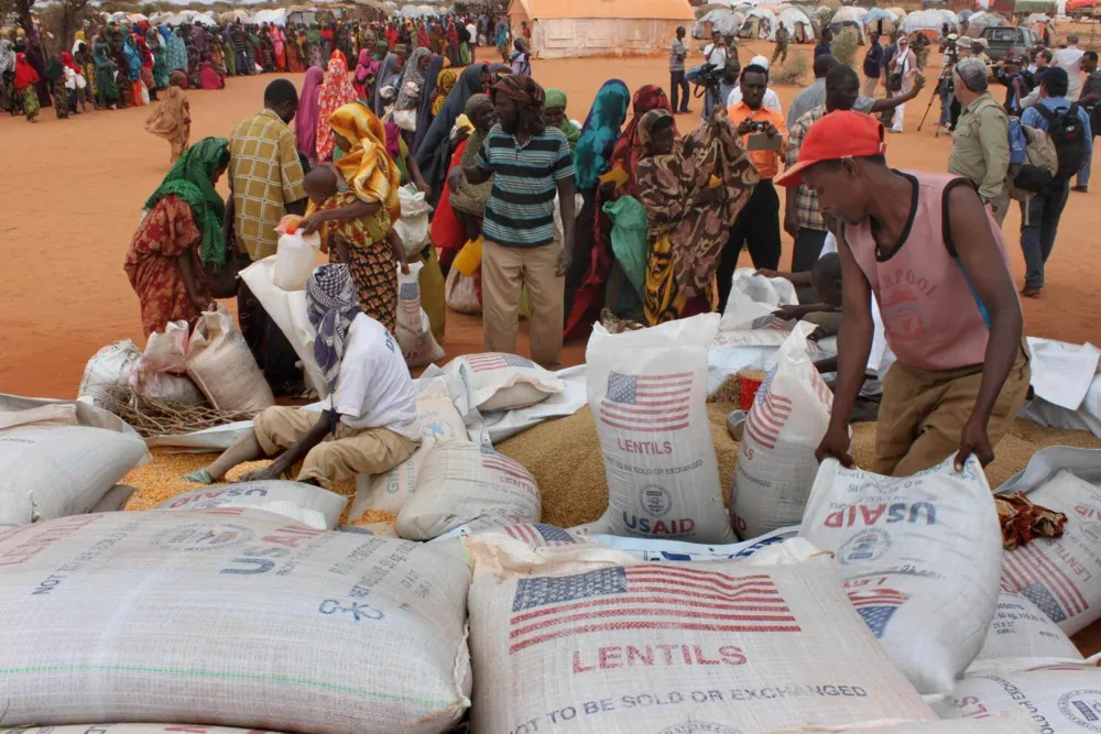 U.S. Suspends Aid to Somalia Amid Food Aid Seizure Allegations